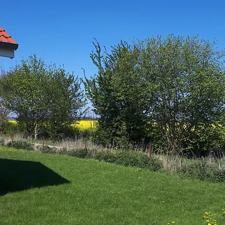 Ferienhaus Seestern Altefähr Exterior foto