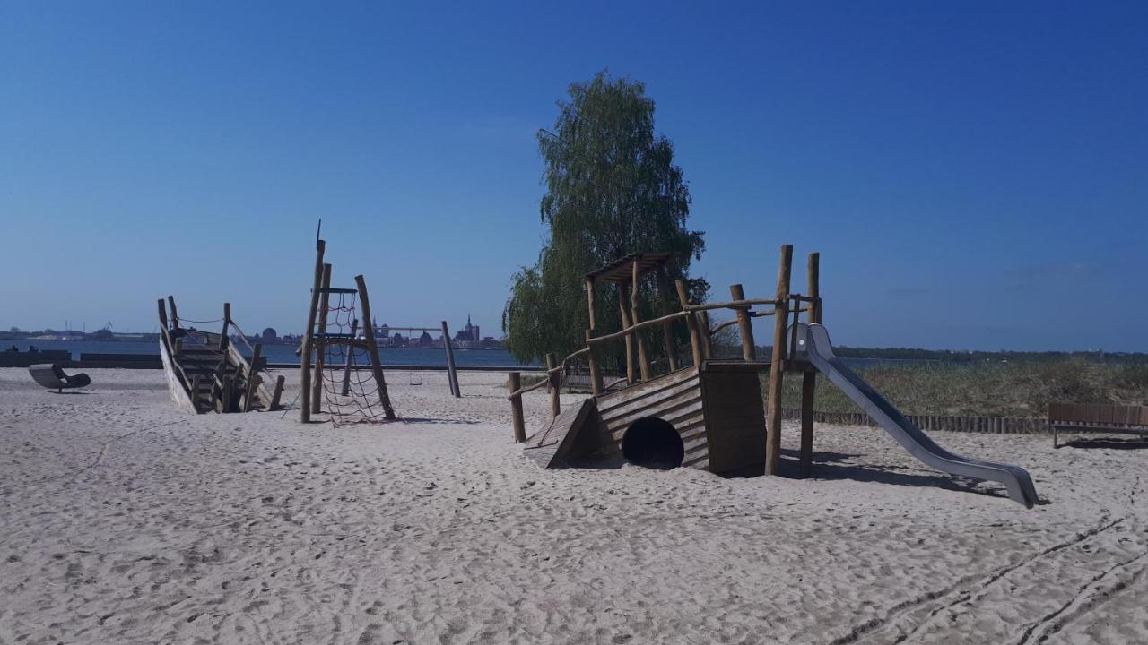 Seestern *